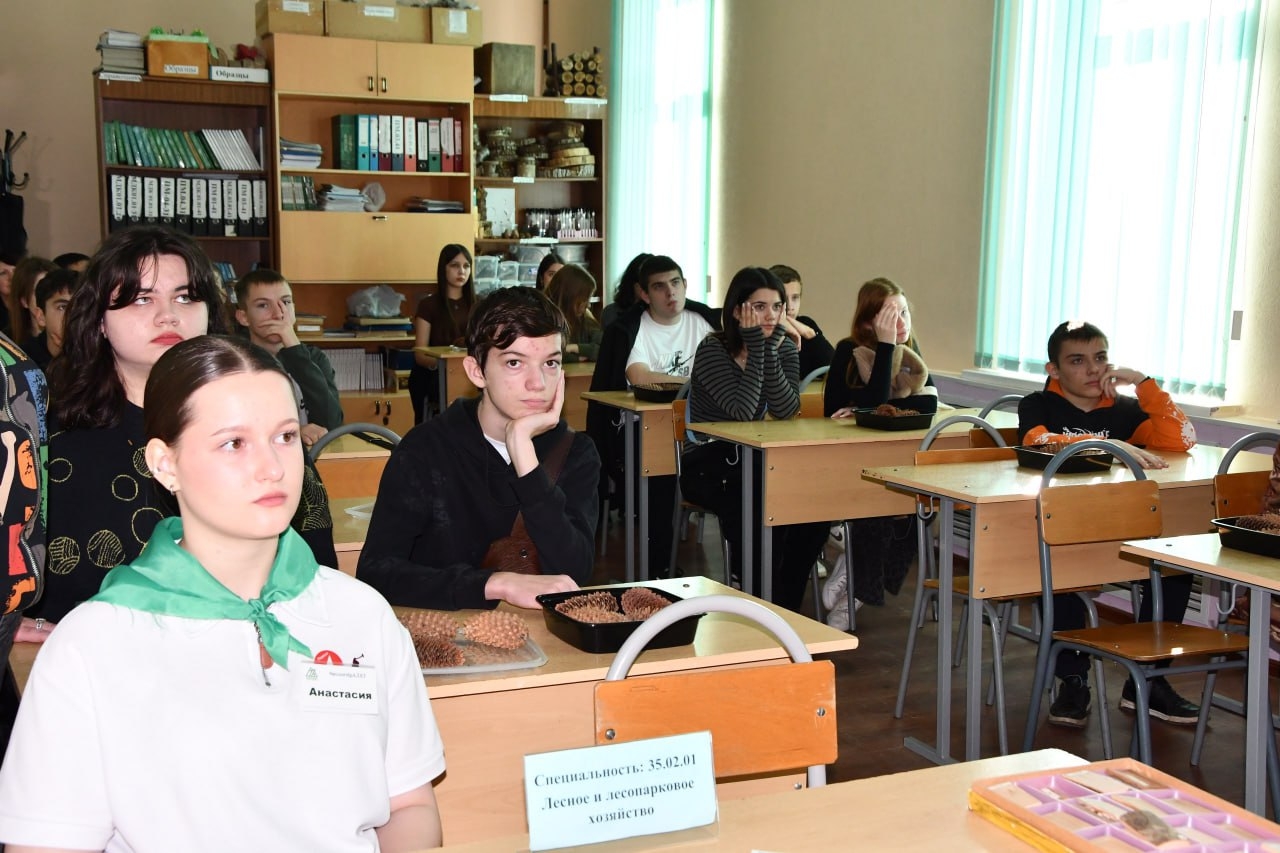 День в профессии День в профессии