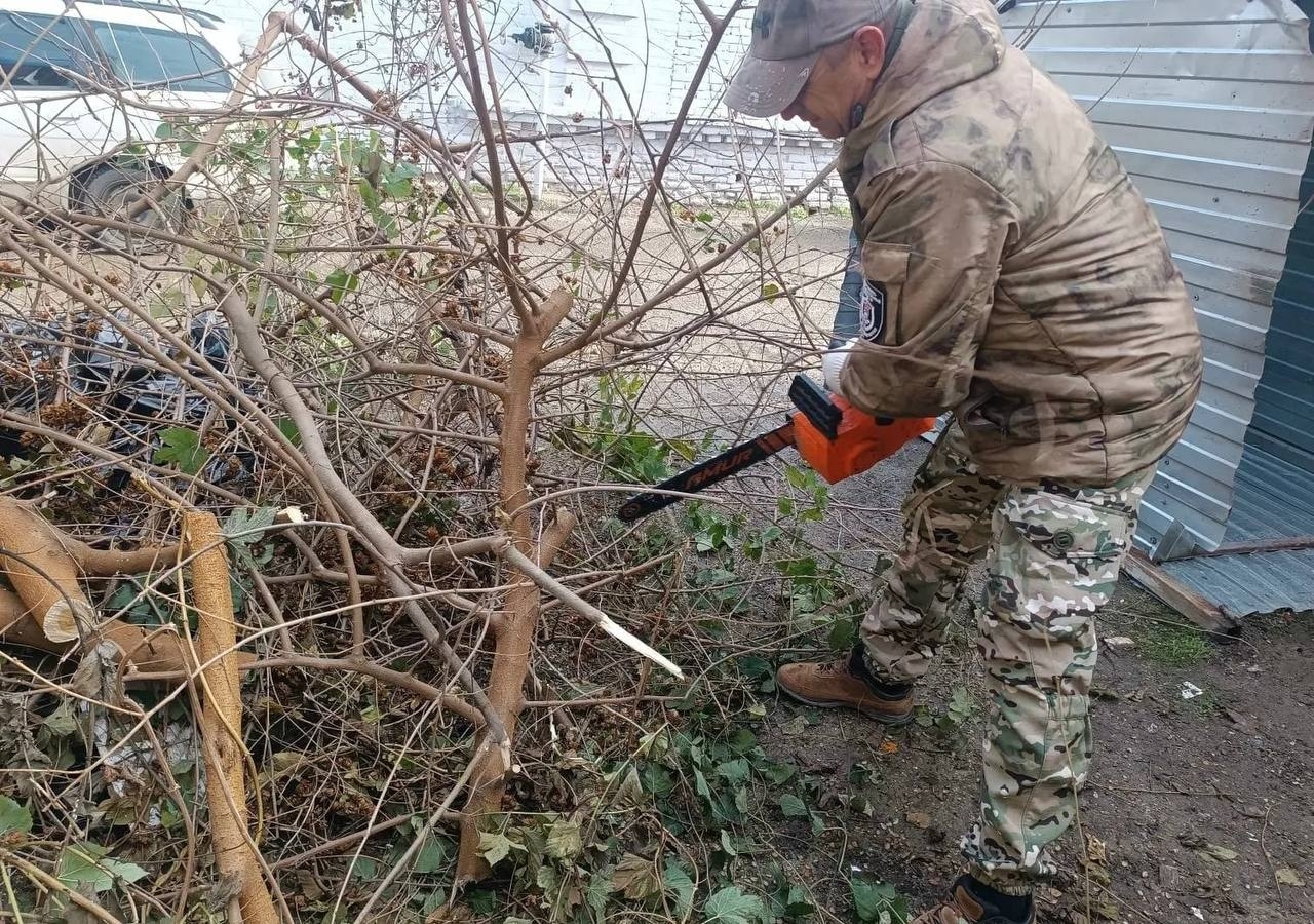 ����� "������ �����" 