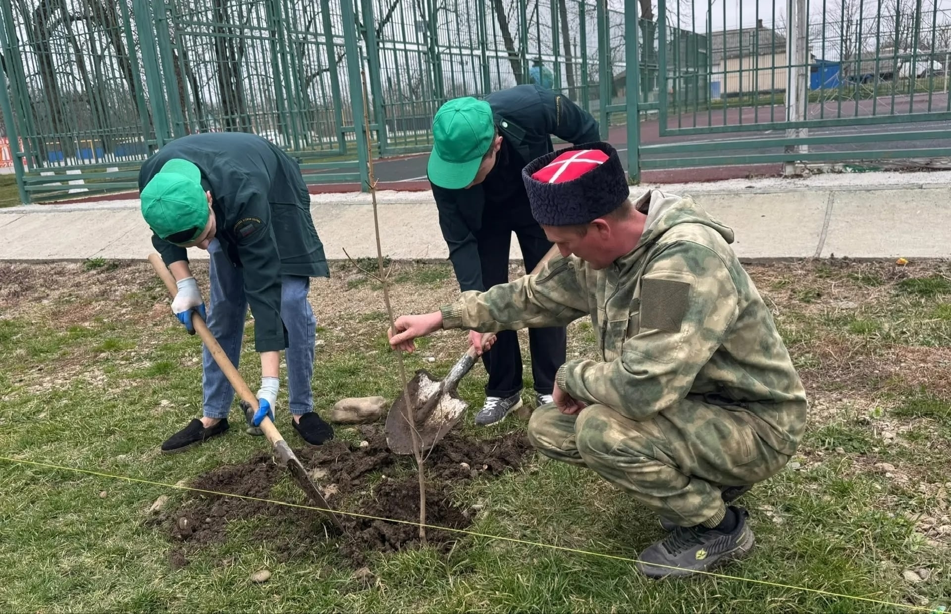 ��� ������