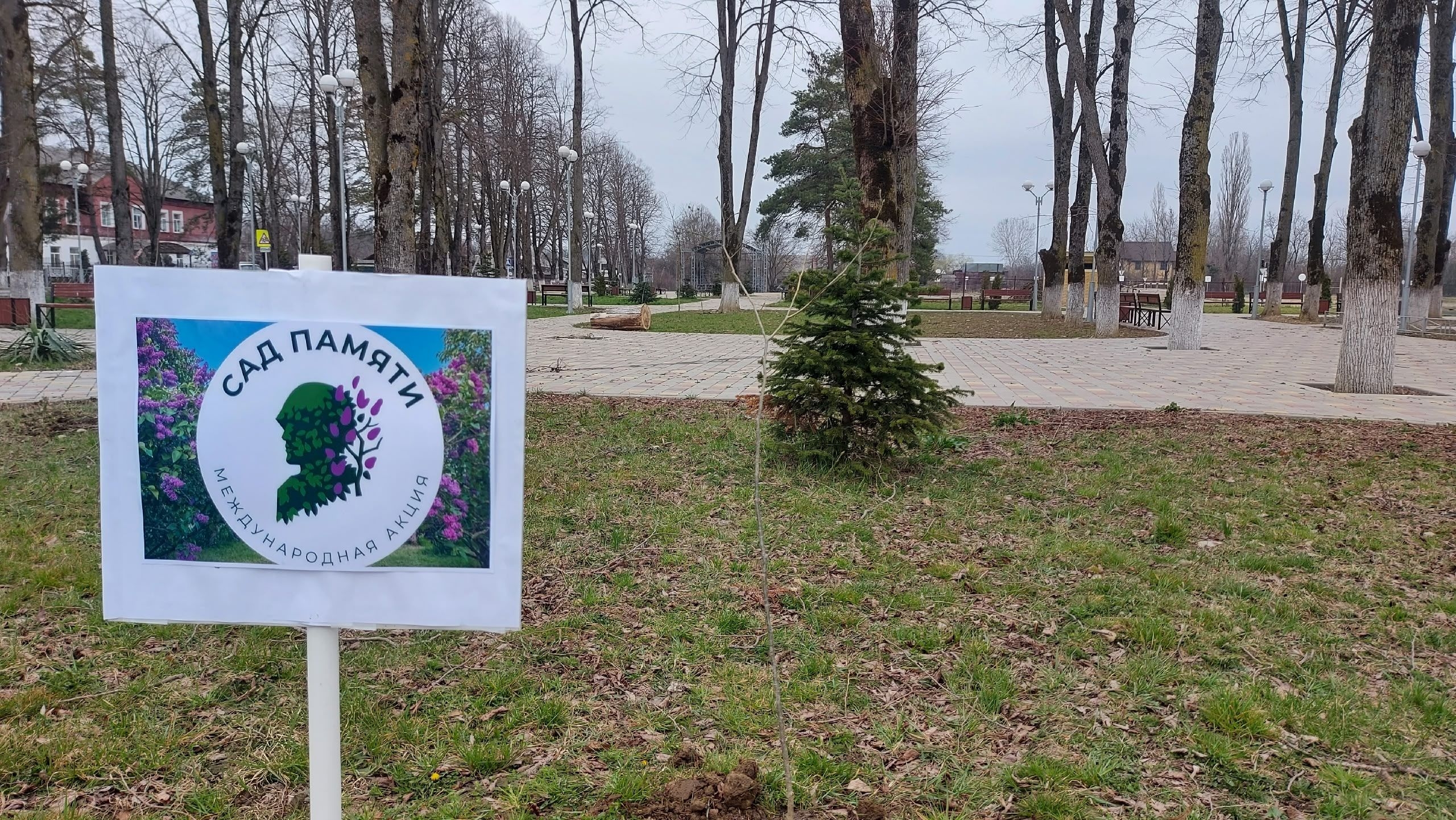 ��� ������