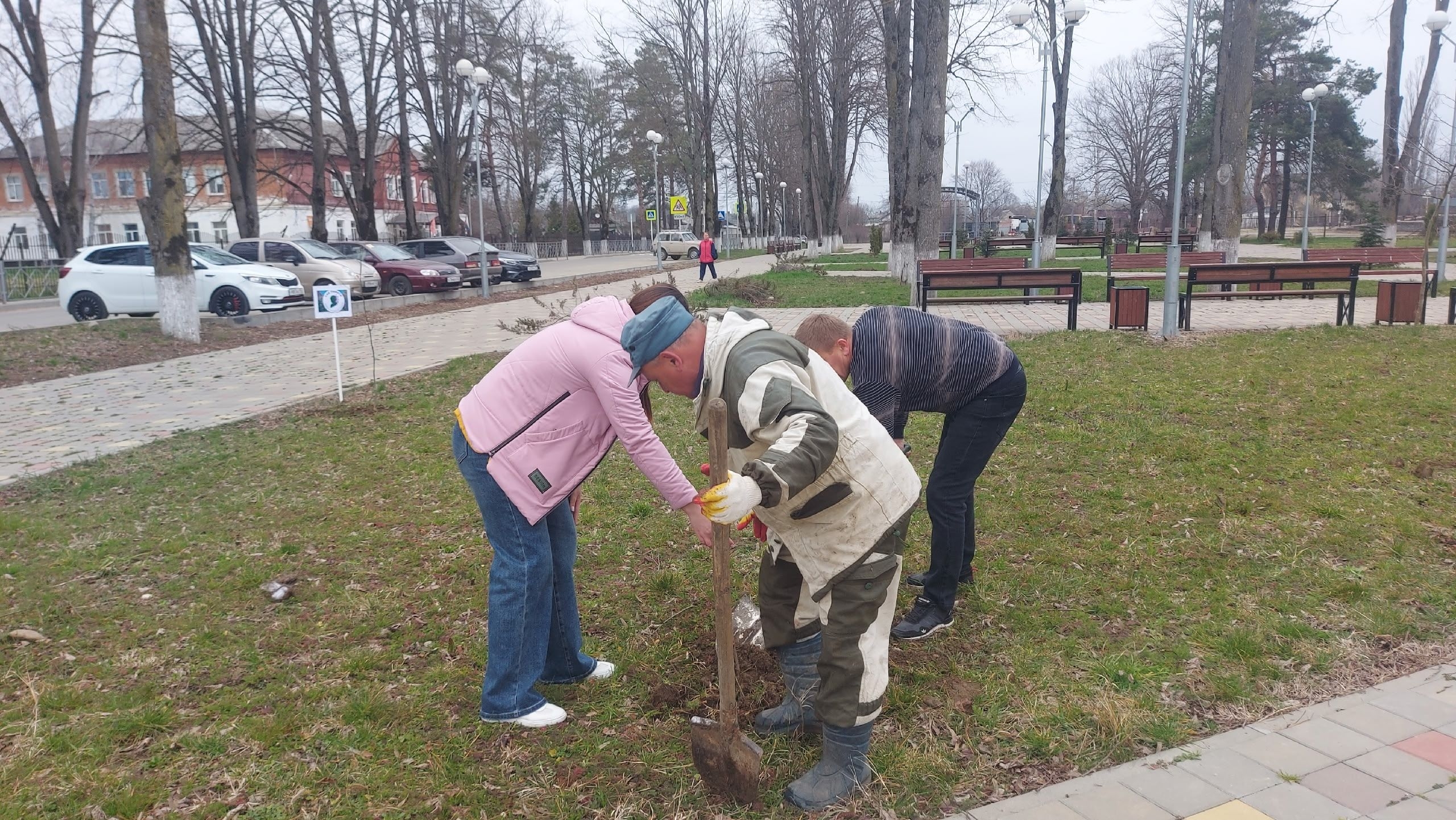 ��� ������