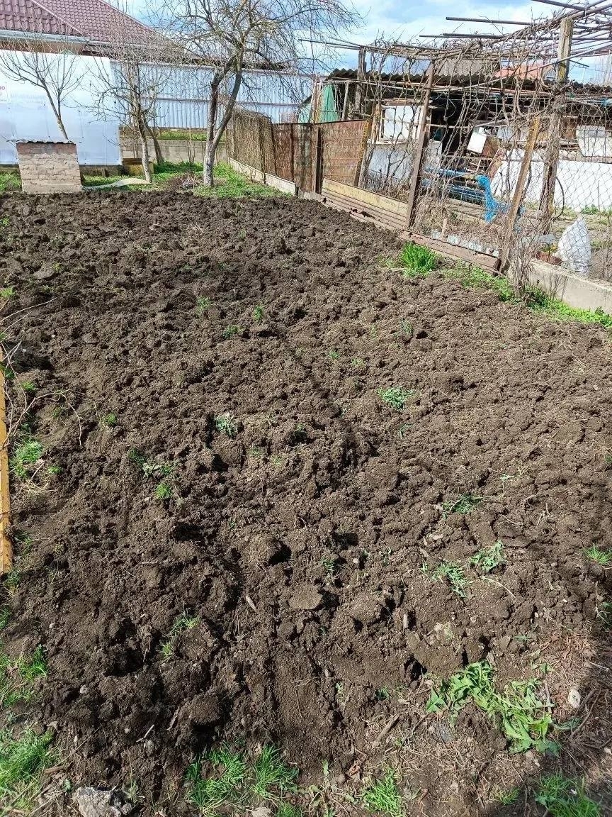 Согреем сердца Согреем сердца