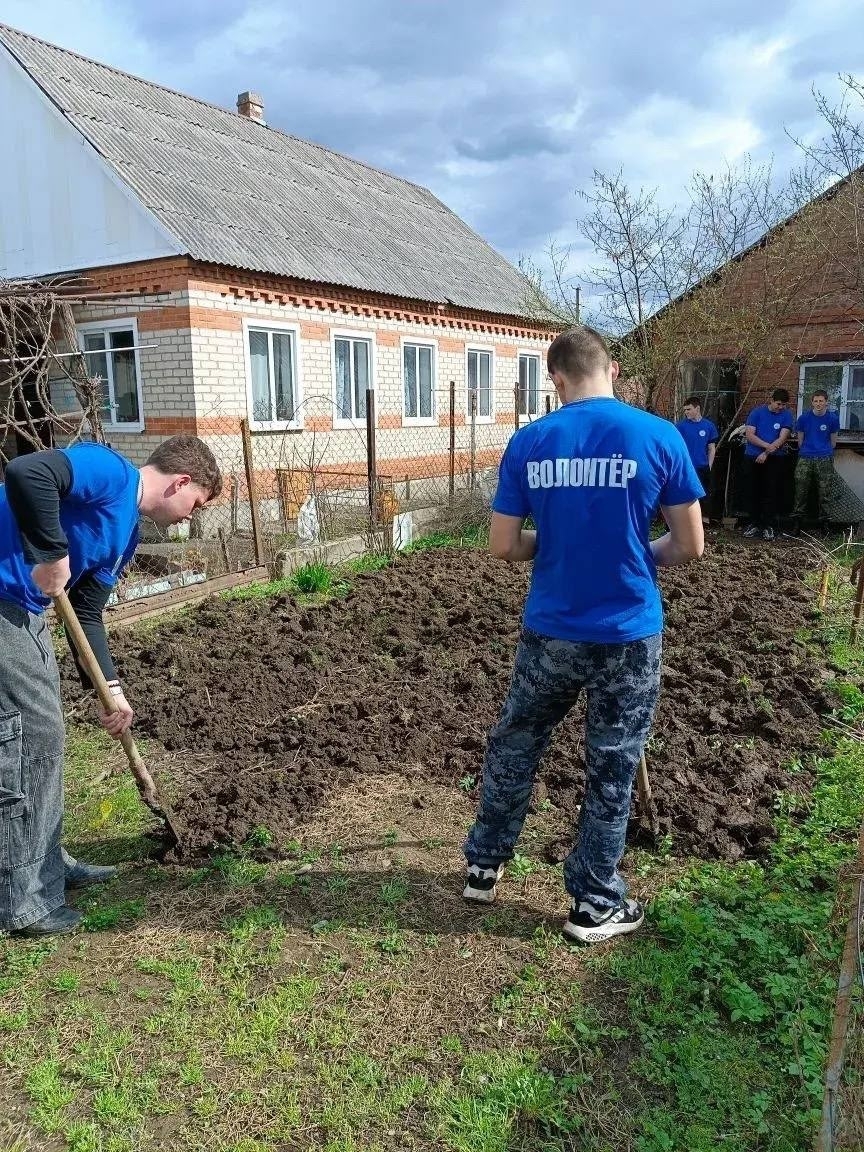 Согреем сердца Согреем сердца